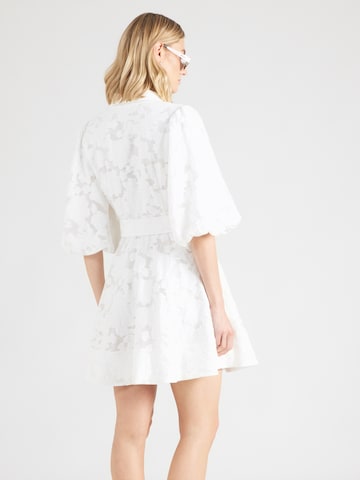 Ted Baker Kleid 'ANTYA' in Weiß