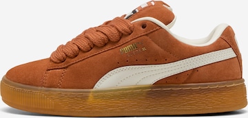 Sneaker 'Suede XL' di PUMA in marrone: frontale