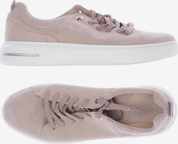 SALAMANDER Sneaker 41 in Beige: predná strana