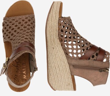 Sandales 'LORRAH' Blowfish Malibu en marron