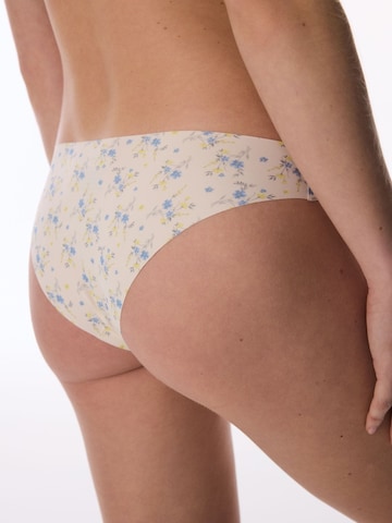 Panty di Penti in colori misti