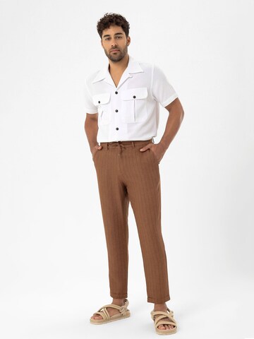 Dandalo Regular Trousers in Brown