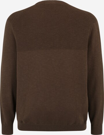 Lyle & Scott Big&Tall Sweater in Brown