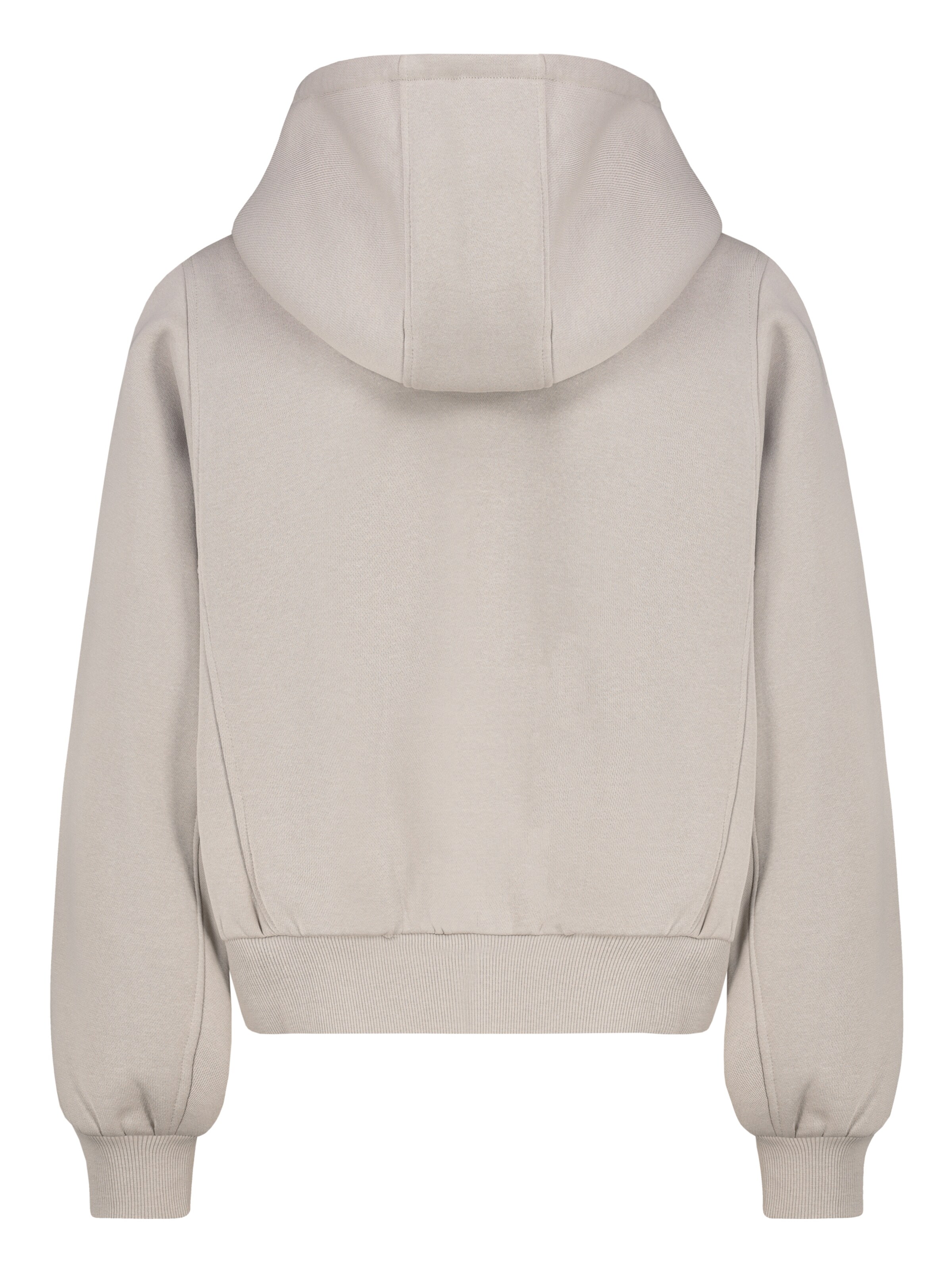 Sublevel Zip-Up Hoodie in Beige