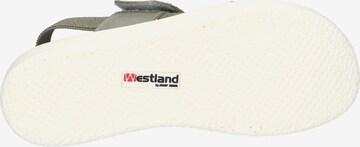 Westland Sandale 'Albi' in Grün