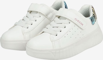 Baskets GEOX en blanc