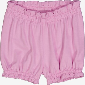 Fred's World by GREEN COTTON Regular Stoffshorts '2er-Pack' in Lila