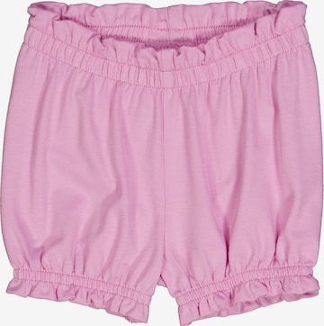 Fred's World by GREEN COTTON Regular Stoffshorts '2er-Pack' in Lila