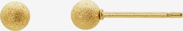 Heideman Earrings 'Lauren' in Gold