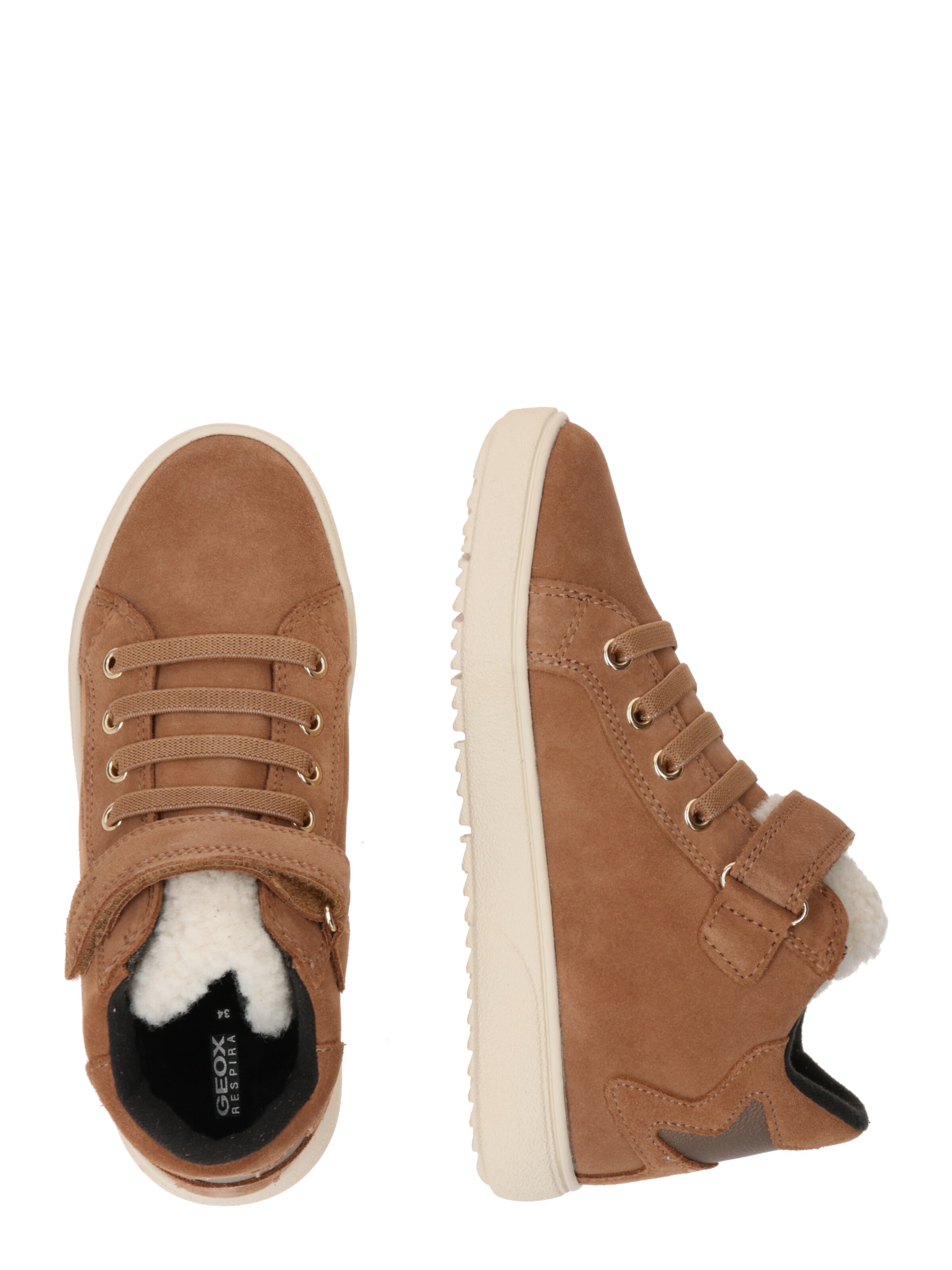 GEOX Кроссовки 'Theleven' в Коричневый