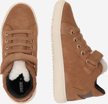 GEOX Sneaker 'THELEVEN' i brun