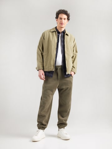 HOLLISTER Baggy Hose in Grün