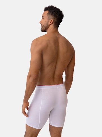 DANISH ENDURANCE Boxer shorts 'Bamboo' in Mixed colours