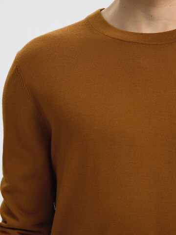 SELECTED Pullover 'SLHTray' in Braun