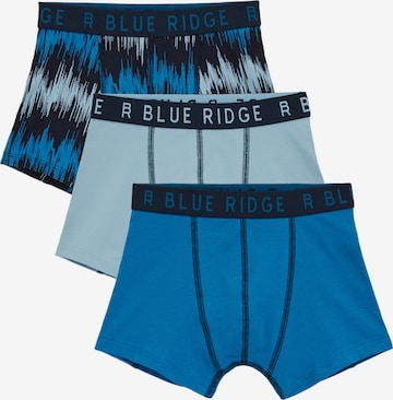 mėlyna WE Fashion Apatinės kelnaitės: priekis