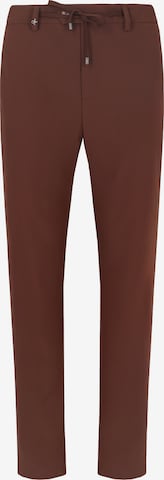 Pantalon fonctionnel 'York High-Perform12 Active' Distretto12 en marron : devant