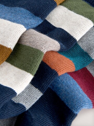 Next Socks in Mixed colours