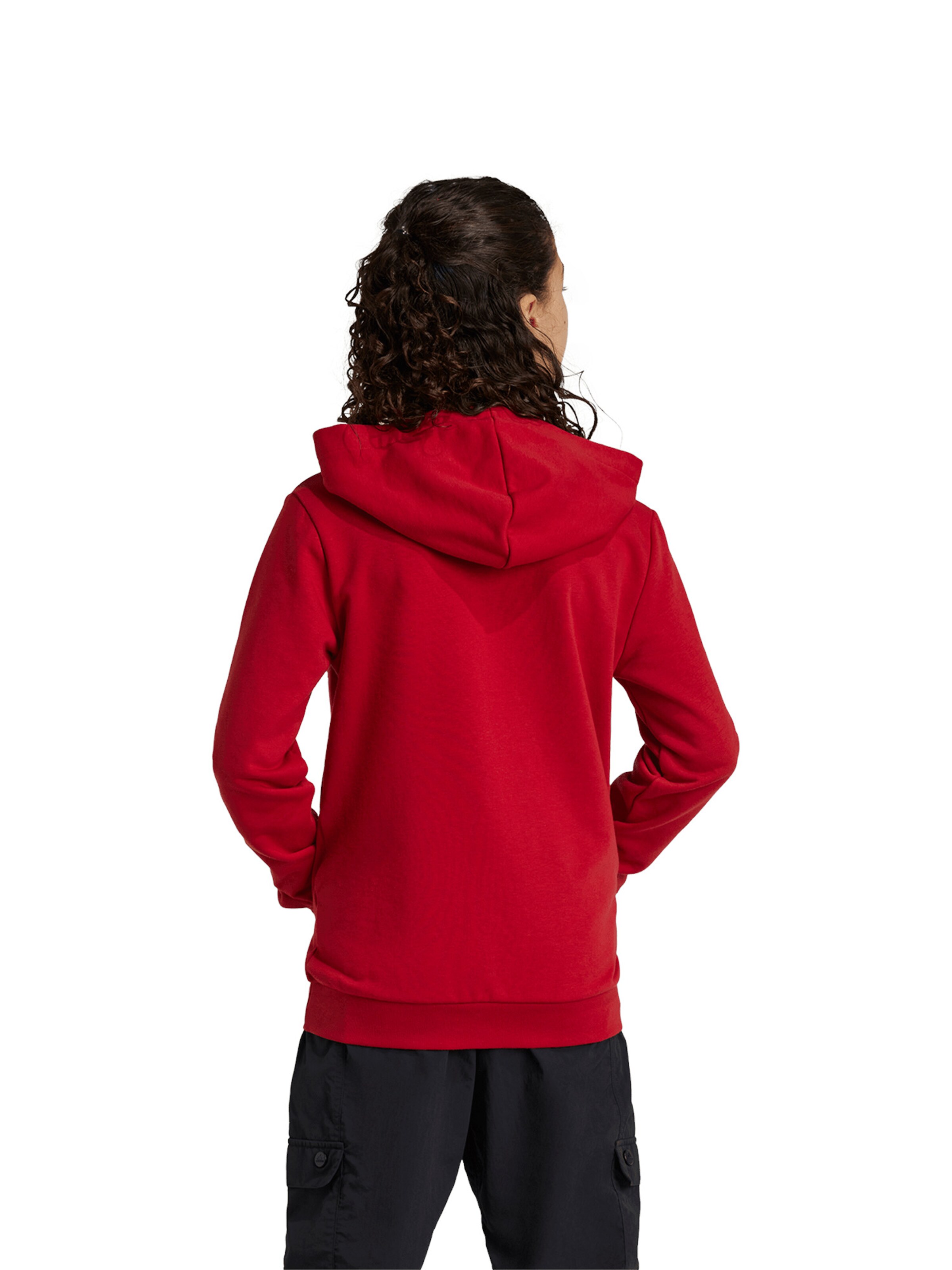 ADIDAS PERFORMANCE Αθλητική μπλούζα φούτερ 'DNA' σε κόκκινο