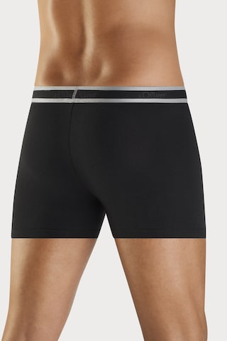 s.Oliver Boxer shorts in Black