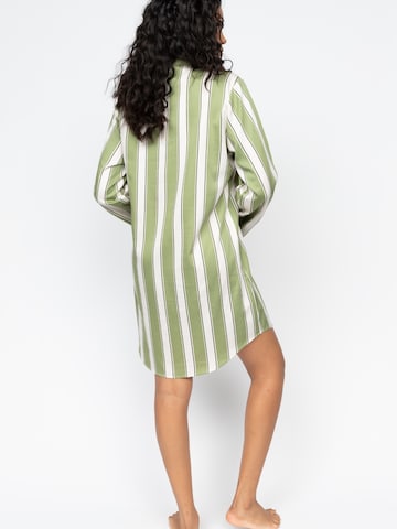 Cyberjammies Nachthemd 'Nancy' in Grün