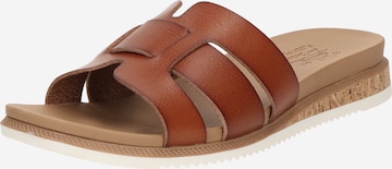 SKECHERS Mules 'DESERT KISS' in Brown: front