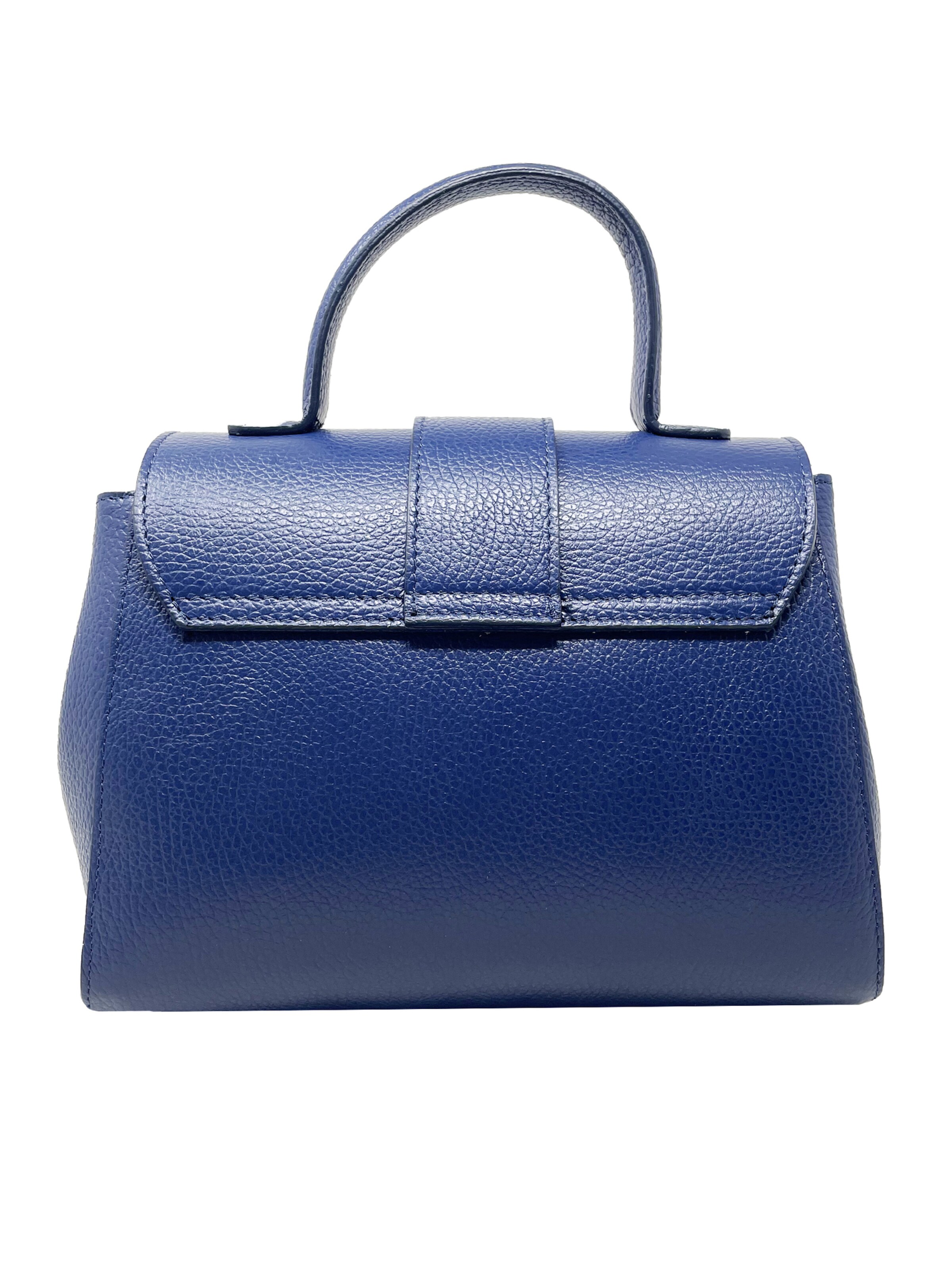 CHICCA BORSE Handbag in Blue