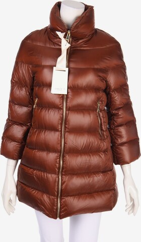 Annie P Jacket & Coat in L in Brown: front