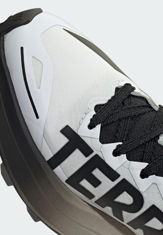 ADIDAS TERREX Lage schoen 'Agravic 4' in Wit