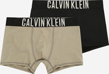 Calvin Klein Underwearregular Gaće 'Intense Power' - bež boja: prednji dio