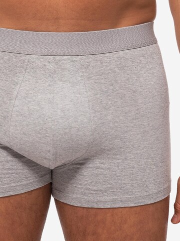 Almonu Boxer shorts 'Cotton' in Mixed colors