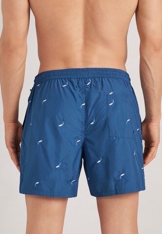 INTIMISSIMI Board Shorts in Blue