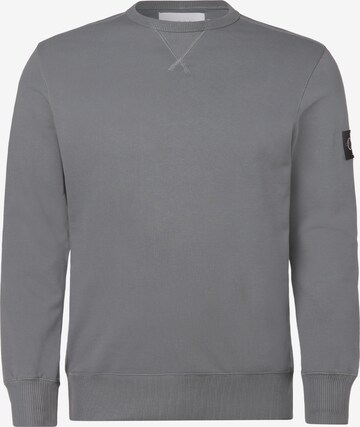 Calvin Klein Big & Tall Sweatshirt in Grey: front