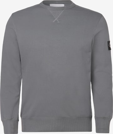 Calvin Klein Big & Tall Sweatshirt in Grey: front