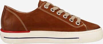 Paul Green Sneaker in Braun