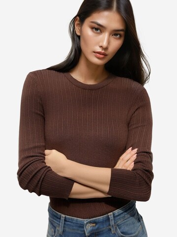 Hiccup Sweater in Brown: front