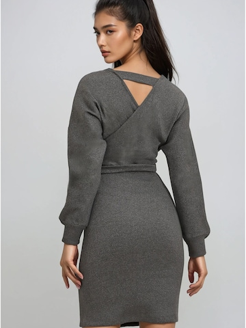 Trend Alaçatı Stili Платье в Серый