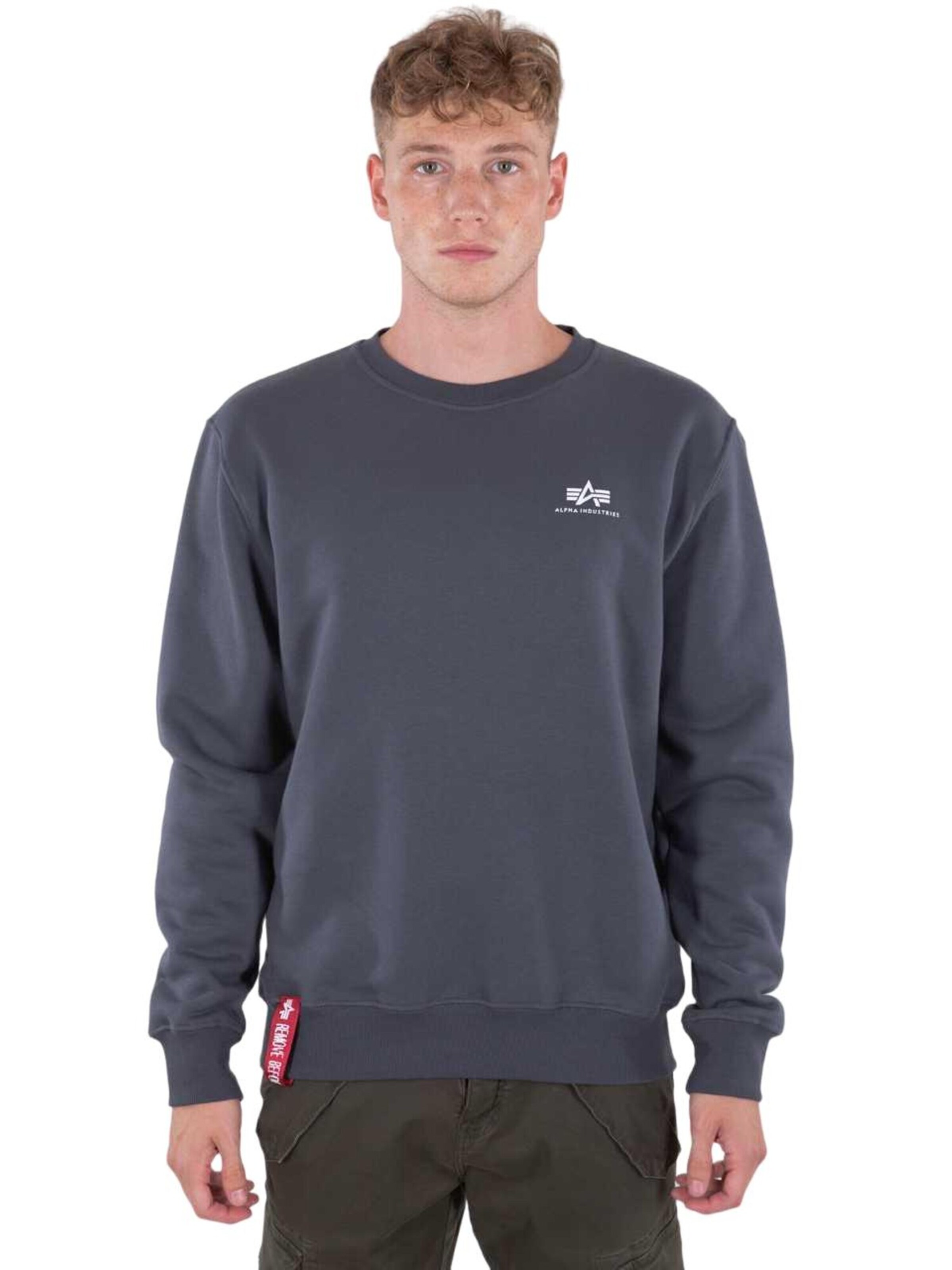 ALPHA INDUSTRIES Sweatshirt 'Basic Small Logo' in Grey