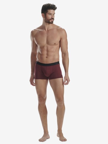 ADIDAS SPORTSWEAR Trunk ' BASIC ' in Mischfarben: predná strana