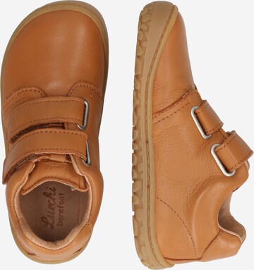 Chaussure basse 'NOAH' LURCHI en marron