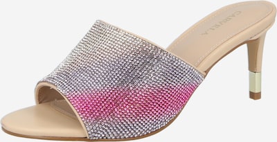 Carvela by Kurt Geiger Pantolette in creme / lavendel / pink / silber / transparent, Produktansicht