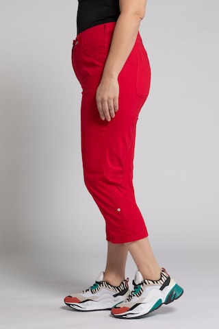 Ulla Popken Regular Hose in Rot