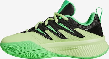 ADIDAS PERFORMANCE Sportschuh in Grün: Vorderseite