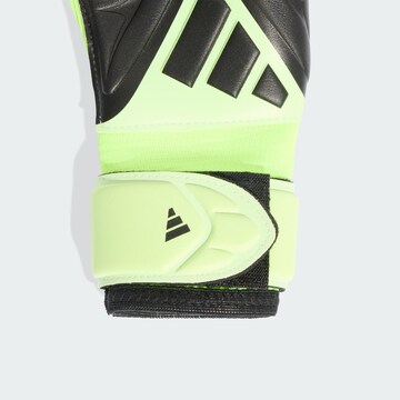 Gants de sport 'Copa League' ADIDAS PERFORMANCE en vert