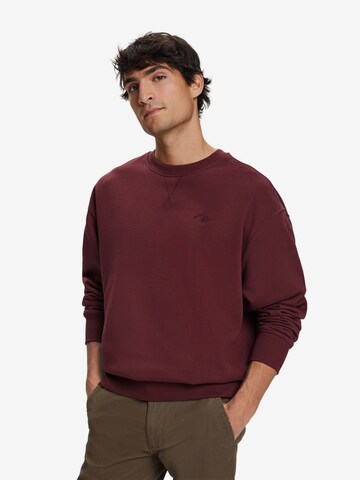 Sweat-shirt ESPRIT en violet : devant