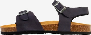 Plakton Sandały 'Ledersandalen Louis' w kolorze niebieski: przód