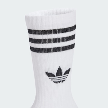 ADIDAS ORIGINALS Socks in White