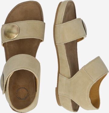 Ca Shott Sandals CASAVA in Dark Beige ABOUT YOU