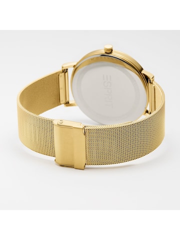 ESPRIT Analog Watch in Gold