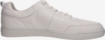 SALAMANDER Sneakers in White