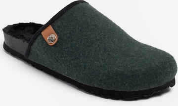 Bayton Mule 'Kansas' in Green